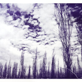 Photo of a forest and clouds printed with purple ink