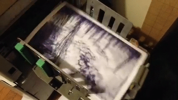 Riso Printing Purple Forest Gif